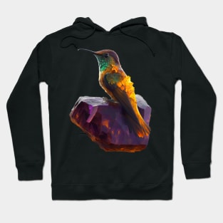 Crystal Hummingbird Hoodie